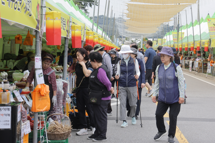 ▲ 2025 청원생명축제 개장식과 함께 입장객들이 행사장에 몰려들고 있다.ⓒ청주시