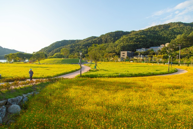 ▲ 호수와 어우러진 꽃마당 ‘안성 금광호수 수석정 수변화원’ ⓒ경기관광공사 제공