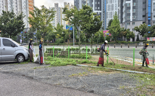 ▲ 대구 북구청(청장 배광식)은 추석 명절을 앞두고 구민과 귀성객들이 쾌적하고 안전하게 무료개방 공영주차장을 이용할 수 있도록 관내 공영주차장 내 잡초 정비를 완료했다.ⓒ대구 북구청