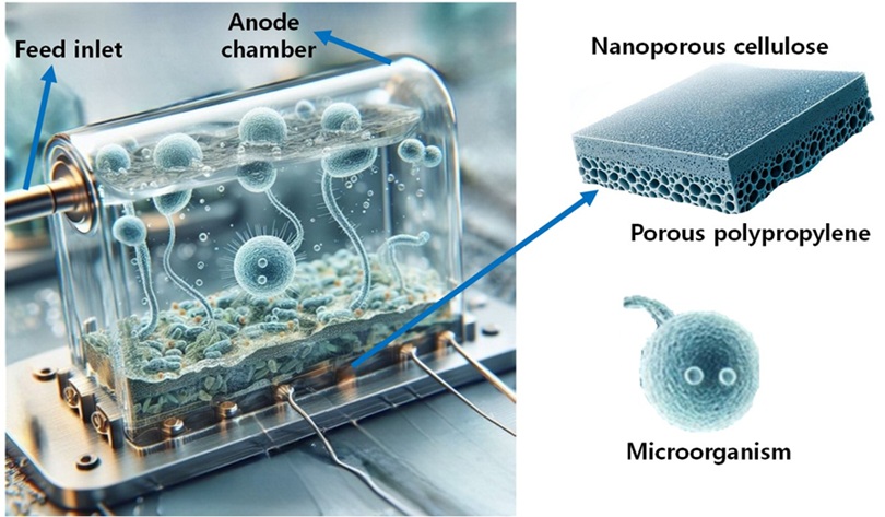 ▲ 미생물전지 신기술 개발 모식도.ⓒ상명대