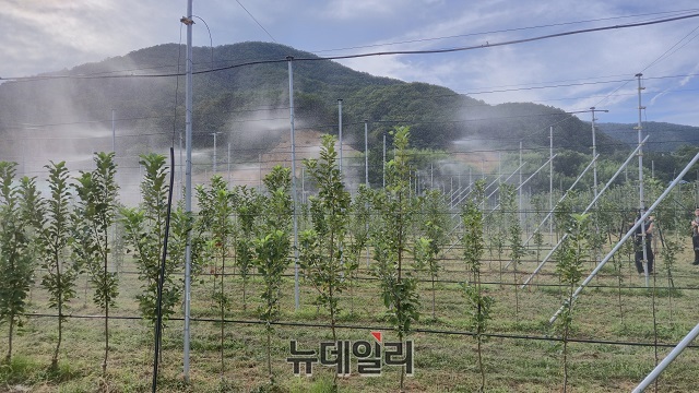 ▲ 스마트 시스템을 통해 과수 나무에 물주기를 하고 있다.ⓒ뉴데일리