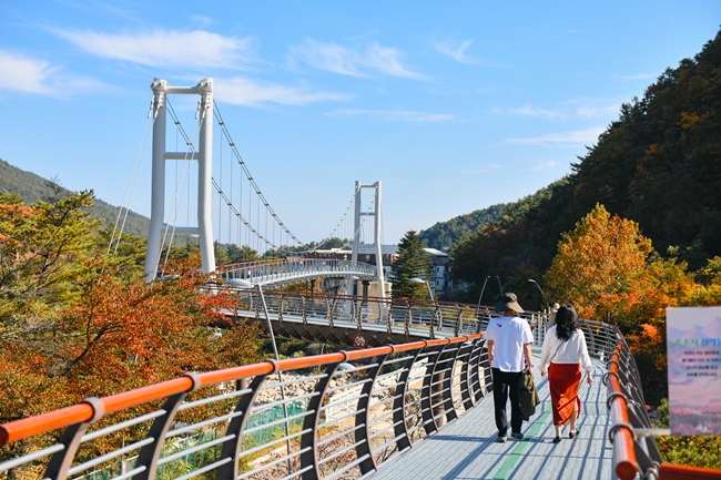 ▲ 설악향기로 전경. ⓒ속초시