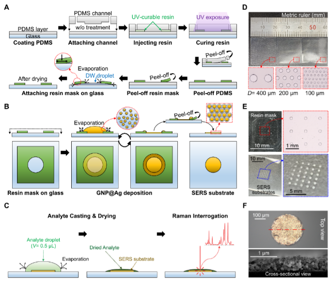 ▲ 나노복합체기반SERS센서제작과정ⓒ