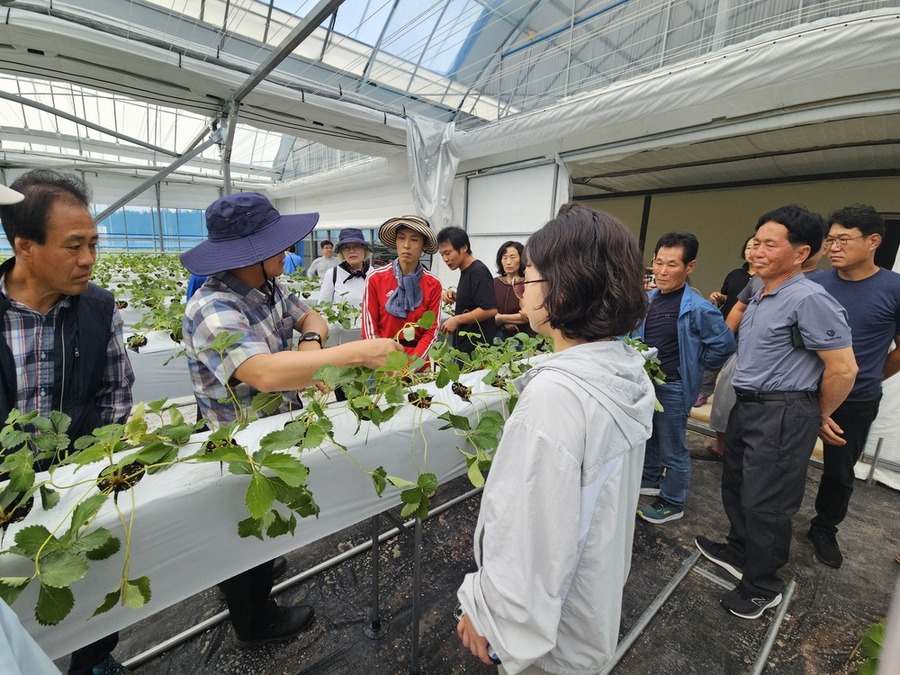 ▲ 27일, 함평군 농업대학 딸기스마트팜반 현장 실습 교육ⓒ함평군 제공