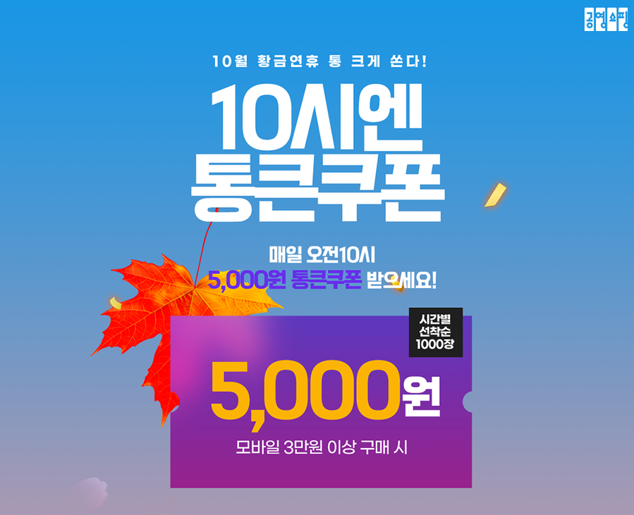 ▲ ⓒ공영홈쇼핑