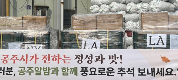 ▲ 미국으로 수출된 공주알밤.ⓒ공주시