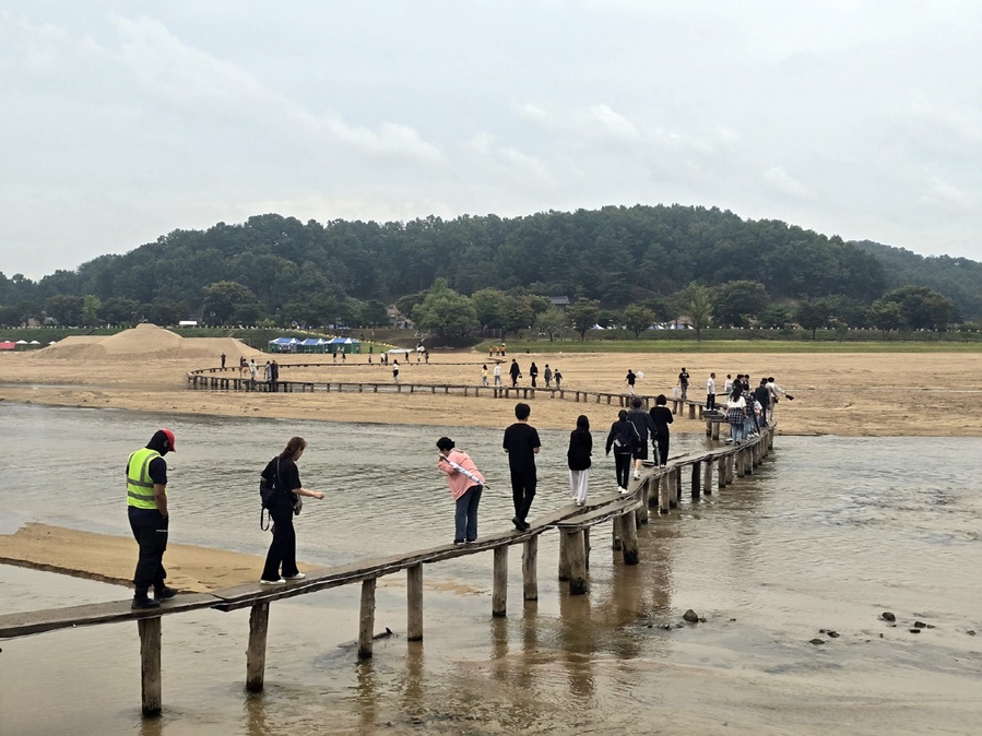 ▲ 무섬외나무다리축제에 참여한 관광객들이 외나무다리를 걷고 있다.ⓒ영주시