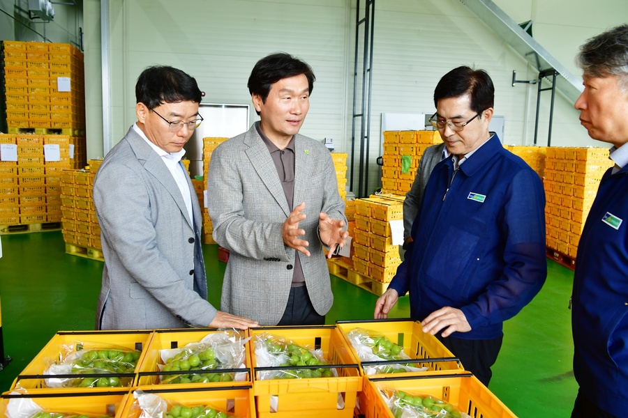 ▲ 경산시(시장 조현일)는 2일 자인농협 농산물유통센터서 조현일 경산시장, 조지연 국회의원, 손병한 자인농협장, 포도 공선회원을 비롯한 관계자 30여 명이 참석한 가운데 대만 수출 선적식을 개최했다.ⓒ경산시