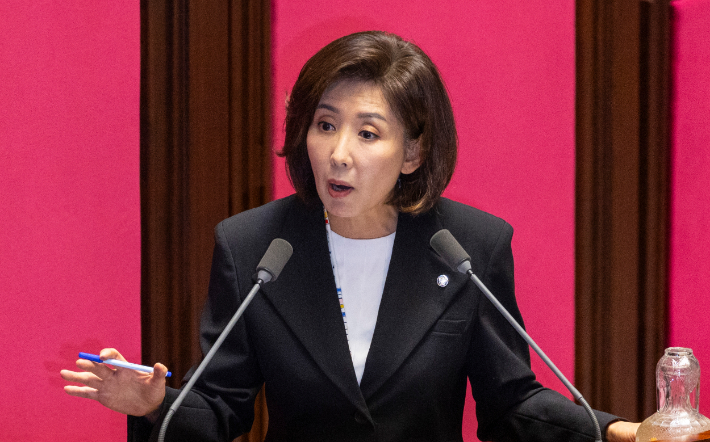 ▲ 나경원 국민의힘 의원. /연합뉴스