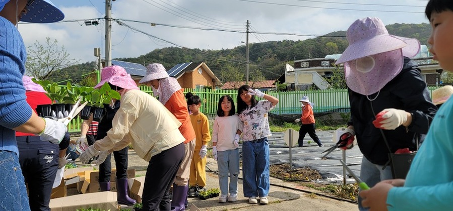 ▲ 텃밭 가꾸기ⓒ광주시교육청 제공