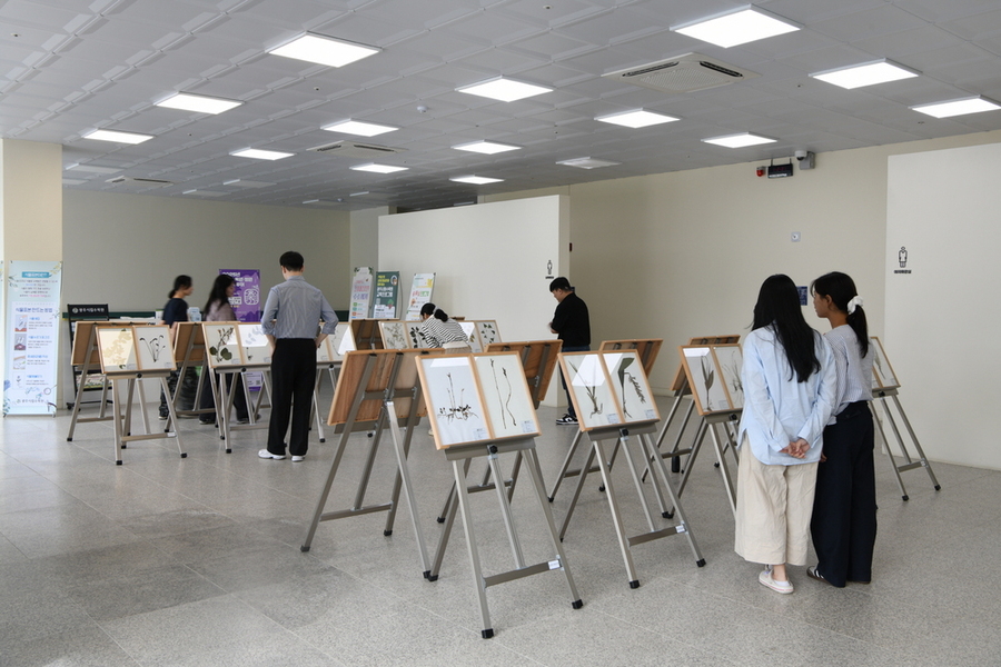 ▲ 희귀 특산 식물표본 전시ⓒ전라남도 제공