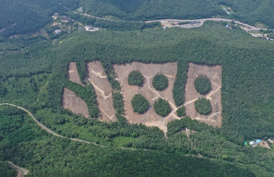 ▲ 친환경 벌채 현장 모습.ⓒ충남도
