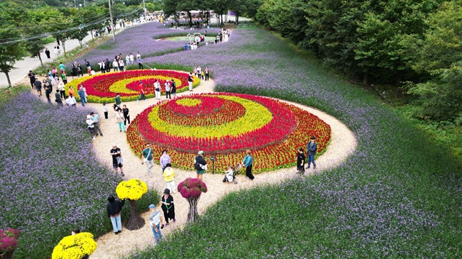 ▲ 2025 인제 가을꽃 축제장 모습. ⓒ인제군