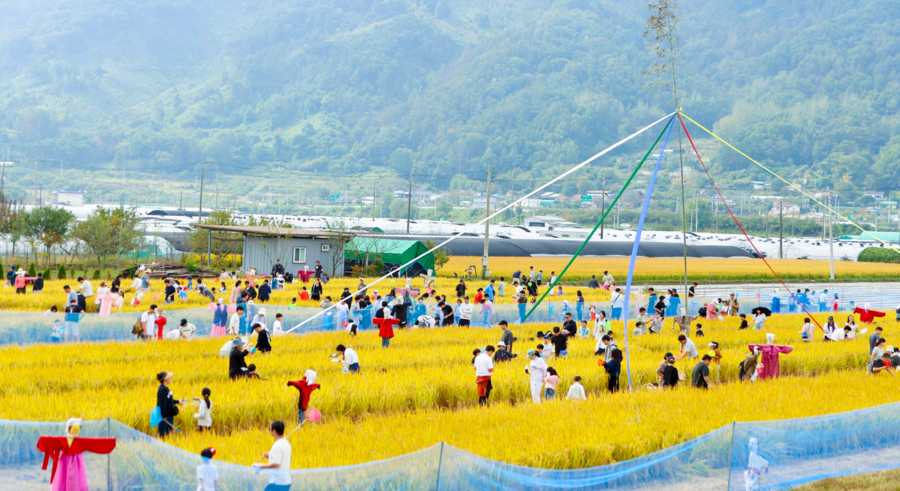 ▲ 지난해 진행한 메뚜기 축제 현장ⓒ