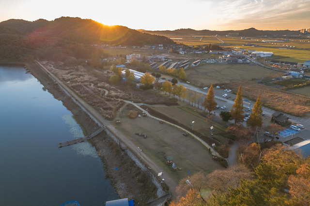 ▲ ⓒ청암산 가을 억새 사진, 군산시 제공