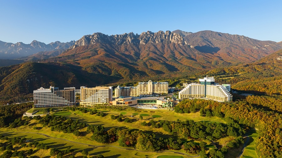 ▲ ⓒ대명소노그룹