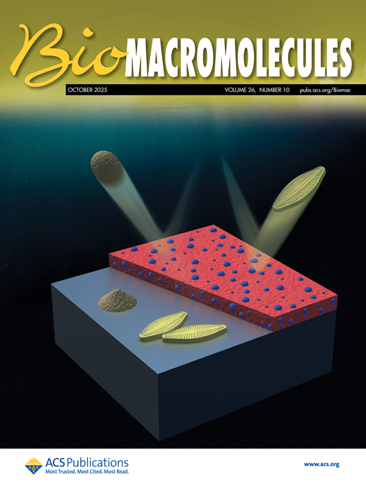 ▲ 충북대학교 화학과 강성민(왼쪽)·박재우 교수 연구팀이 개발한 친환경 고분자 코팅 기술이 미국화학회 국제 학술지 ‘Biomacromolecules’ 표지논문으로 선정됐다. ⓒ충북대학교