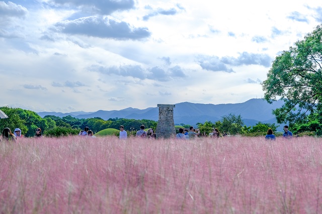 ▲ 경주 첨성대 전경.ⓒ경북관광공사
