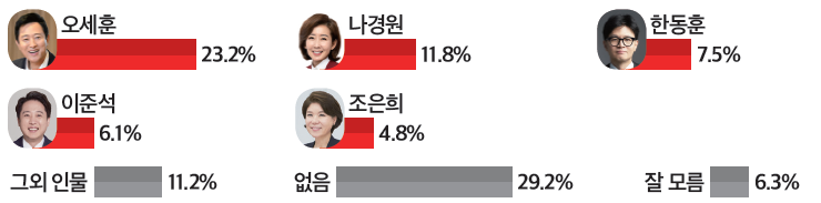 ▲ 범보수 진영의 차기 서울시장 후보 선호도 여론조사 결과