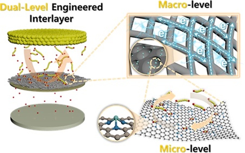 ▲ 다차원 구조 설계 전략 모식도.ⓒ중앙대