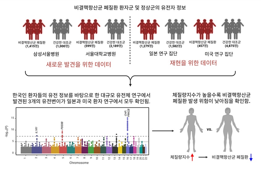 ▲ 연구 순서도.ⓒ성균관대