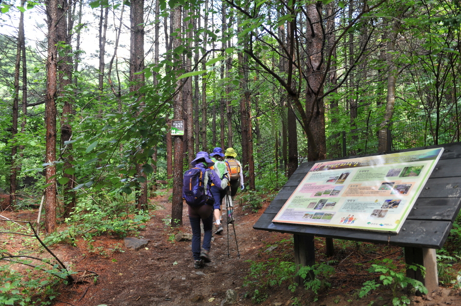 ▲ 영주시는 오는 11월 1일 개최되는 소백산자락길(10자락) 탐방 프로그램 참가자 25명을 선착순 모집한다(사람들이 자락길을 걷고 있다).ⓒ영주시