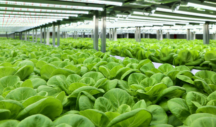 ▲ ⓒ롯데이노베이트