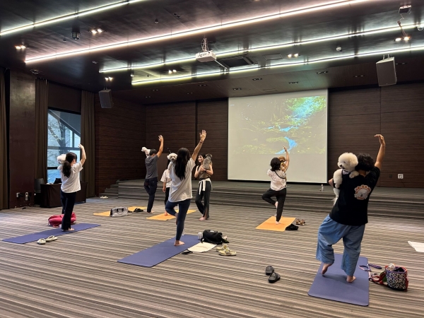 ▲ 켄싱턴리조트 충주 펫 요가 프로그램ⓒ이랜드파크