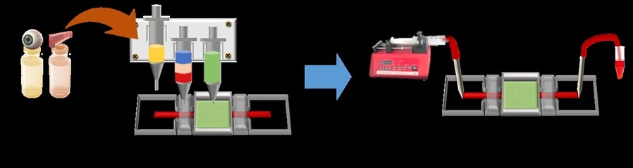 ▲ 망막 유래 바이오잉크와 3D 바이오프린팅으로 구현한 인공 망막칩 및 RVO 모델 제작 과정.ⓒ한국외대