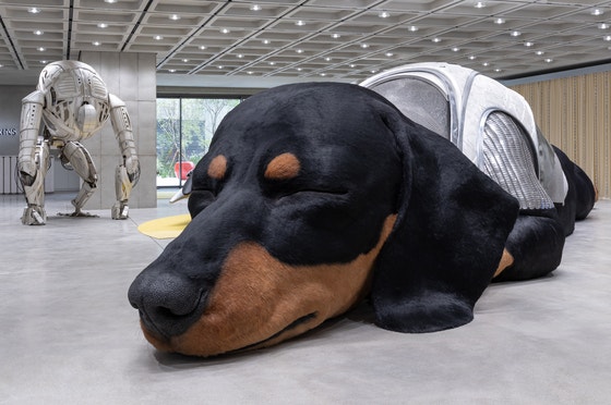 ▲ 탬버린즈의 퍼퓸 컬렉션인 낮잠을 자는 거대한 강아지 '선샤인' 조형물. ©아이아이컴바인드