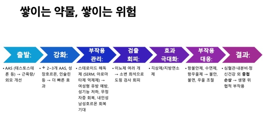 ▲ 스태킹의 악순환: 처음에는 스테로이드 단독사용에서 출발하지만, 점차 여러약물(성장호르몬, 인슐린 등)을 추가하고, 부작용을 막기 위한 항에스트로겐제, 소변 희석용 이뇨제, 퍼포먼스 강화용 자극제까지 더해진다.ⓒ성균관대