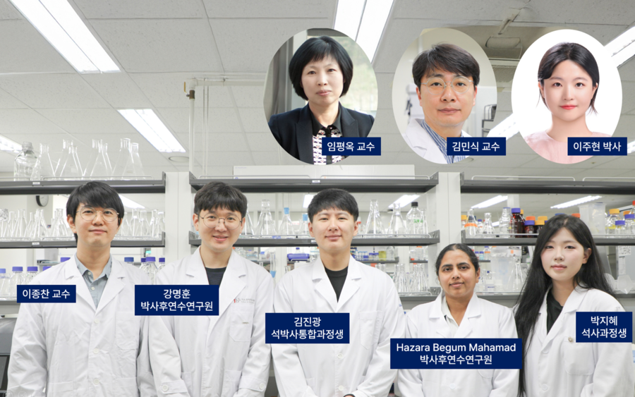 ▲ DGIST(총장 이건우) 뉴바이올로지학과 임평옥, 이종찬, 김민식 교수 공동 연구팀이 식물 잎이 언제 늙기 시작하는지를 결정하는 새로운 분자 스위치를 발견했다(DGIST 뉴바이올로지학과 연구진).ⓒDGIST