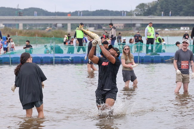 ▲ 연어 맨손잡기 체험. ⓒ양양문화재단 ▲ 연어 맨손잡기 체험. ⓒ양양문화재단