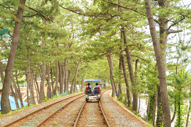 ▲ 삼척 해양 레일바이크 모습. ⓒ삼척시 ▲ 삼척 해양 레일바이크 모습. ⓒ삼척시