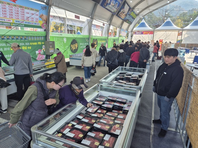 ▲ 홍천군이 30일 오전 10시, 홍천 도시산림공원 토리숲 메인무대에서 '제23회 홍천 인삼·한우 명품축제' 와 '제10회 홍천사과축제' 개장식을 시작으로 본격적인 축제의 서막을 올렸다. ⓒ홍천군 ▲ 홍천군이 30일 오전 10시, 홍천 도시산림공원 토리숲 메인무대에서 '제23회 홍천 인삼·한우 명품축제' 와 '제10회 홍천사과축제' 개장식을 시작으로 본격적인 축제의 서막을 올렸다. ⓒ홍천군