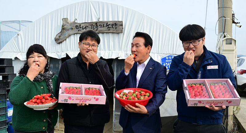 ▲ 백성현 논산시장(왼쪽 세번째)이 최근 딸기 조이베리의 첫 수확 행사에 참석해 맛을 보고 있다.ⓒ논사닛