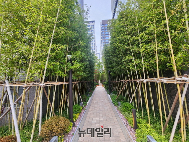 ▲ 단지 내 조성된 대나무 산책로=나광국 기자