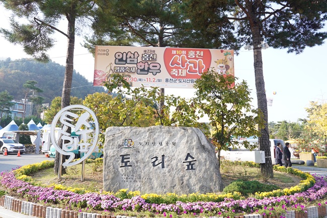 ▲ 강원 홍천군이 내달 2일까지 홍천 도시산림공원 토리숲 일원에서 '제23회 홍천 인삼·한우 명품축제'와 '제10회 홍천사과축제' 를 개최한다. 이번 주말기간 홍천을 나들이해 볼 것을 추천한다. ⓒ홍천군 ▲ 강원 홍천군이 내달 2일까지 홍천 도시산림공원 토리숲 일원에서 '제23회 홍천 인삼·한우 명품축제'와 '제10회 홍천사과축제' 를 개최한다. 이번 주말기간 홍천을 나들이해 볼 것을 추천한다. ⓒ홍천군