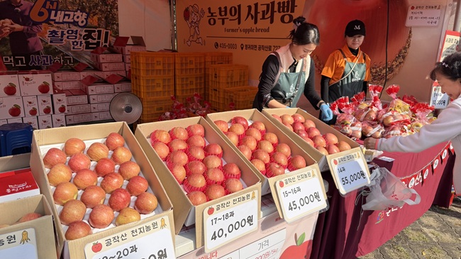 ▲ 강원 홍천군이 내달 2일까지 홍천 도시산림공원 토리숲 일원에서 '제23회 홍천 인삼·한우 명품축제'와 '제10회 홍천사과축제' 를 개최한다. 이번 주말기간 홍천을 나들이해 볼 것을 추천한다. ⓒ홍천군 ▲ 강원 홍천군이 내달 2일까지 홍천 도시산림공원 토리숲 일원에서 '제23회 홍천 인삼·한우 명품축제'와 '제10회 홍천사과축제' 를 개최한다. 이번 주말기간 홍천을 나들이해 볼 것을 추천한다. ⓒ홍천군