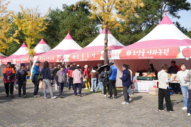 ▲ 강원 홍천군이 내달 2일까지 홍천 도시산림공원 토리숲 일원에서 '제23회 홍천 인삼·한우 명품축제'와 '제10회 홍천사과축제' 를 개최한다. 이번 주말기간 홍천을 나들이해 볼 것을 추천한다. ⓒ홍천군 ▲ 강원 홍천군이 내달 2일까지 홍천 도시산림공원 토리숲 일원에서 '제23회 홍천 인삼·한우 명품축제'와 '제10회 홍천사과축제' 를 개최한다. 이번 주말기간 홍천을 나들이해 볼 것을 추천한다. ⓒ홍천군