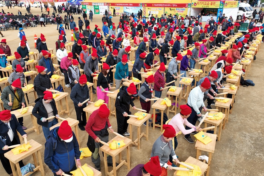 ▲ ‘사과올림픽 3종 경기’, ‘도전-사과선별 로또’, ‘꿀잼-사과난타’, ‘황금사과를 찾아라’ 등 다양한 체험 프로그램이 연일 큰 인기를 끌었다.ⓒ청송군