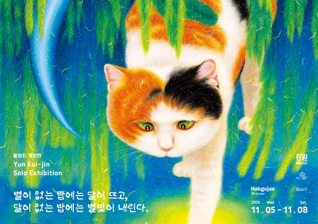 ▲ 윤의진 작가 개인전 포스터. ⓒ강원문화재단 ▲ 윤의진 작가 개인전 포스터. ⓒ강원문화재단