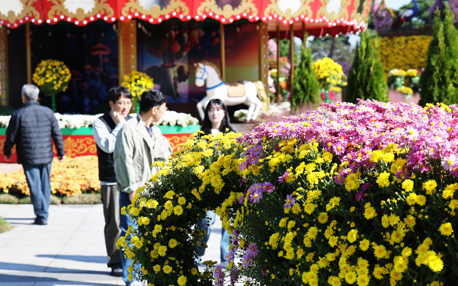 ▲ 2025 대한민국 국향대전 회전목마 포토존ⓒ함평군 제공