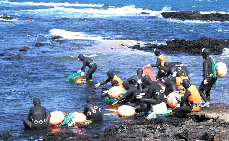 ▲ 해녀들의 작업 모습.ⓒ제주도