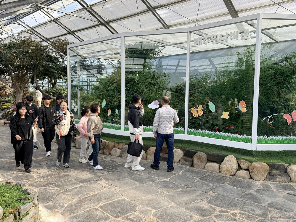 ▲ 함평군 ‘2025 대한민국 국향대전’ 자연생태관 내 배추흰나비관 전경 및 전시관 내 나비 관광객 관람ⓒ함평군 제공