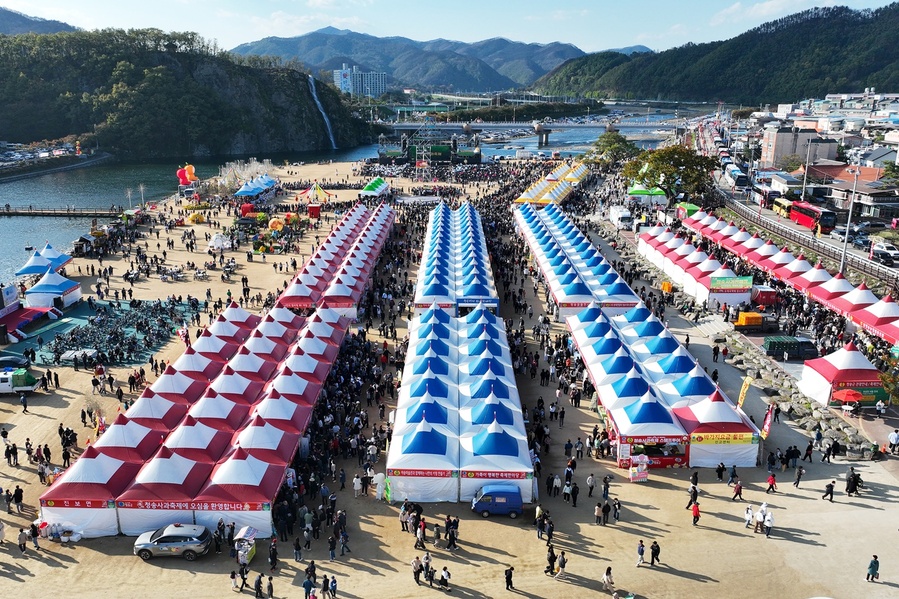 ▲ ‘청송~ 다시 푸르게, 다시 붉게’를 주제로 열린 이번 축제는 전국 관광객들의 발길이 이어지며 각종 체험홍보 부스, 홍보관, 사과 판매장, 식당 등에도 문전성시를 이루며 지역경제 활성화에 크게 기여했다는 평가를 받았다.ⓒ청송군