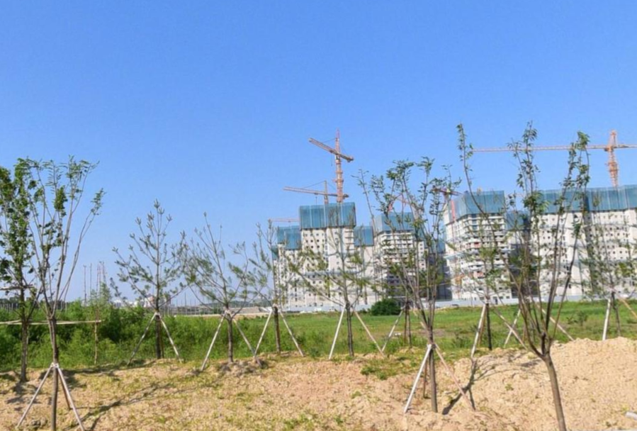 평택 브레인시티 마지막 퍼즐 '비스타동원' … 미분양 늪서 고분양가 ...