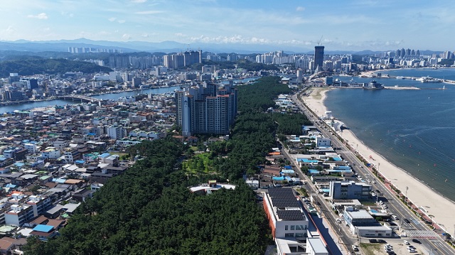 ▲ 포항 송도솔밭 도시숲 전경.ⓒ포항시