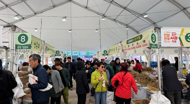 ▲ '제23회 홍천 인삼·한우 명품축제'와 '제10회 홍천사과축제' 모습. ⓒ홍천문화재단