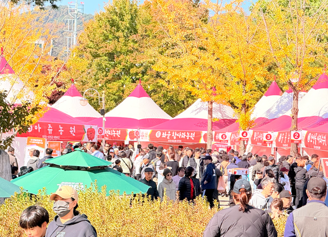 ▲ '제23회 홍천 인삼·한우 명품축제'와 '제10회 홍천사과축제' 모습. ⓒ홍천문화재단